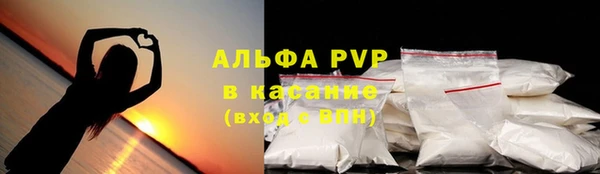 мдпв Богородск