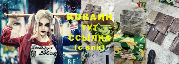 мдпв Богородск
