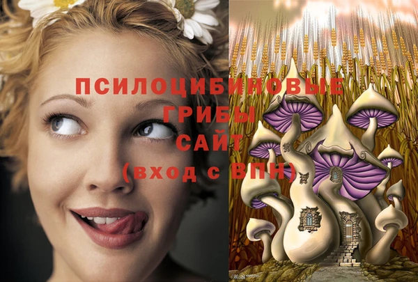 марки nbome Беломорск