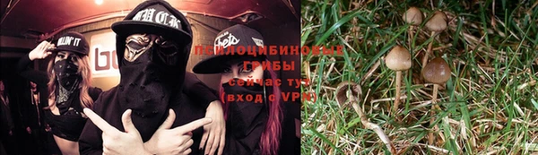 кокс Богданович